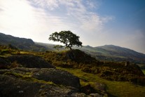 Here's a quick landscape to switch things up a bit. Taken in the gorgeous Duddon Valley of the South Lakes.
