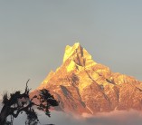 Machapuchare from Low Camp
