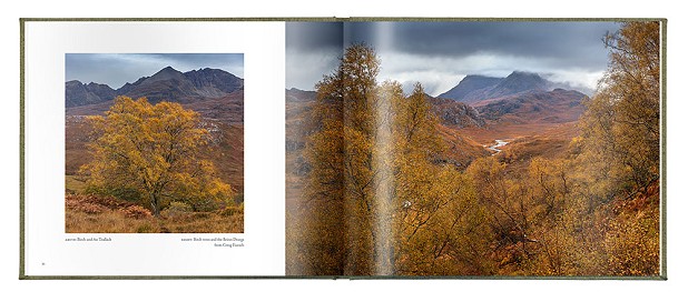 The Great Wilderness Sample Page  © Alex Nail