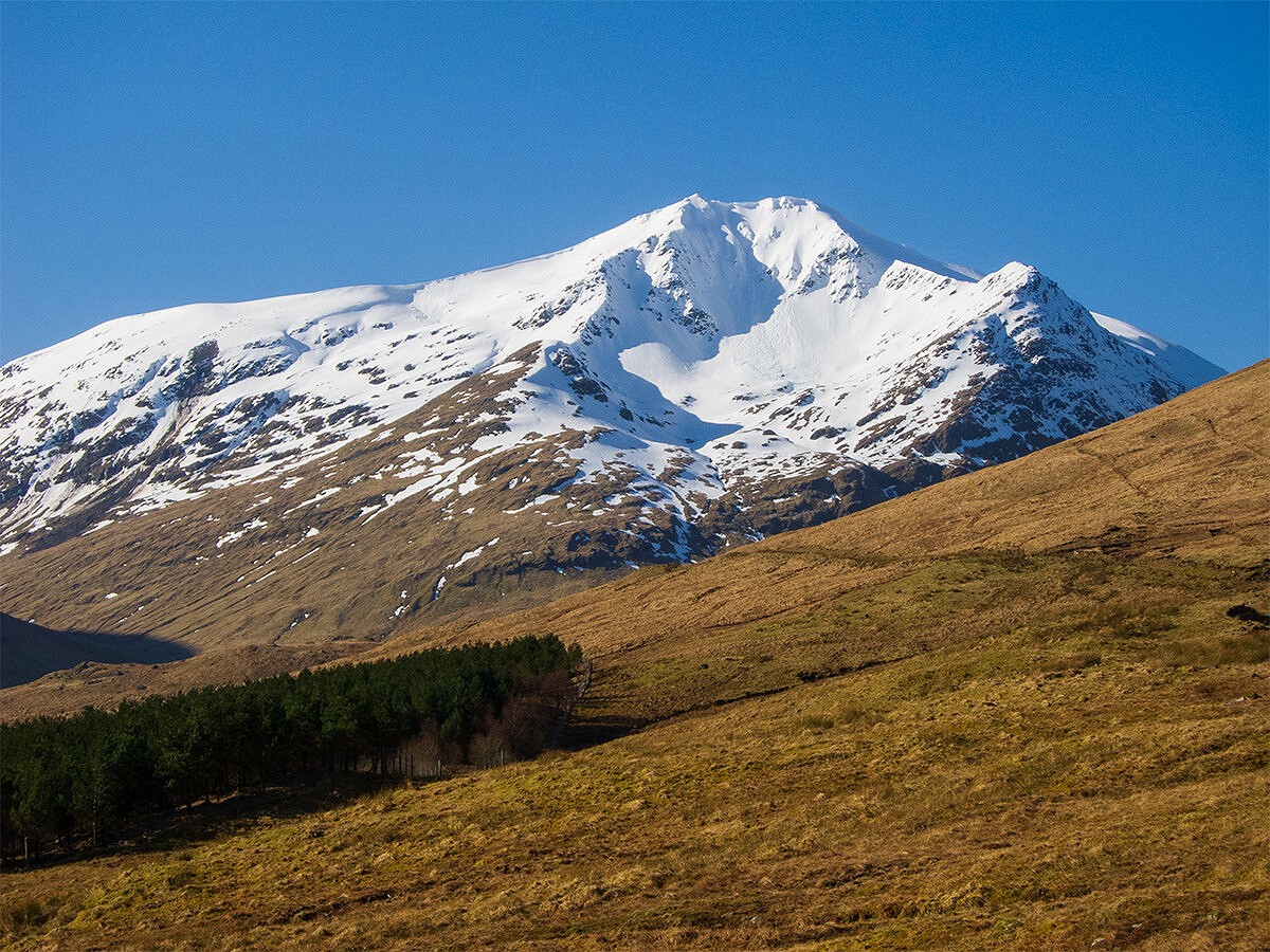 Ben Lui, with evidence of a substantial avalanche and cornice collapses  © Dan Bailey