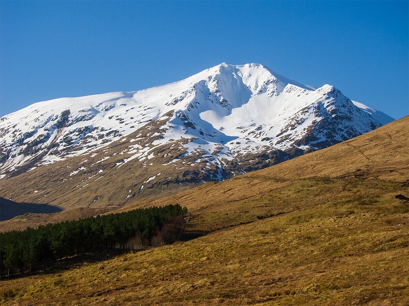 Ben Lui, with evidence of a substantial avalanche and cornice collapses  © Dan Bailey
