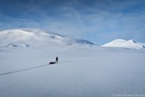 The lonely expanse of the Arctic in winter.
