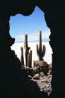 Cacti and Salt Flats, Boliva