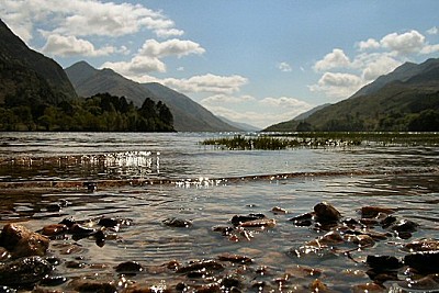 Loch Shiel - The waters Edge  © MNjones