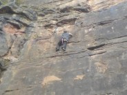 Looks tricky.  Reuben on Grid Iron wall at LLanymynech quarry