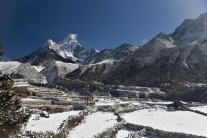 The potato fields at the foot of Ama Dablam