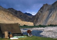 Trek in the Markha valley Ladakh