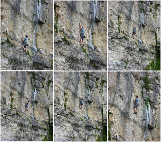 Wilbur on Another Notch in the Gun  © TRNovice