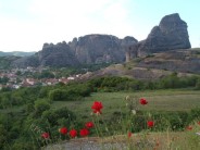 Meteora: flowers and crags