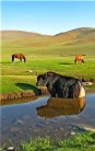 Khan Ondor Hills of Mongolia