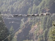 Nepali bridge on Everest BC Trek