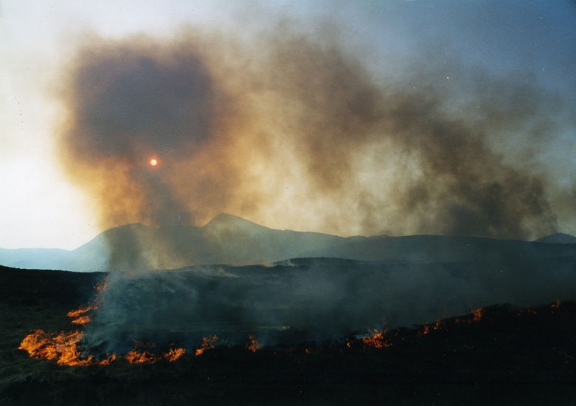 Fire on the moor  © Lawrie Brand