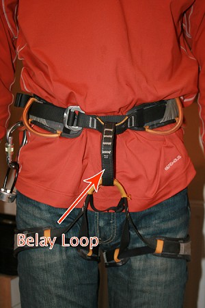 Harness Belay Loop  © Jack Geldard