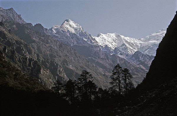 Langtang Lirung 7234m, the peak on which Humar sadly perished. © Al Evans  © Al Evans
