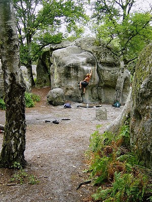 Bas Cuvier bouldering, Fontainebleau  © Gareth H